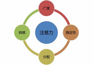 超級注意力強化班 數(shù)字文化創(chuàng)意內(nèi)容應(yīng)用服務(wù)專屬群訓(xùn)練第五期開啟